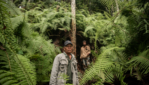 Mangaramoti Tano Ni Ompung (To Bless the Mother’s Land)