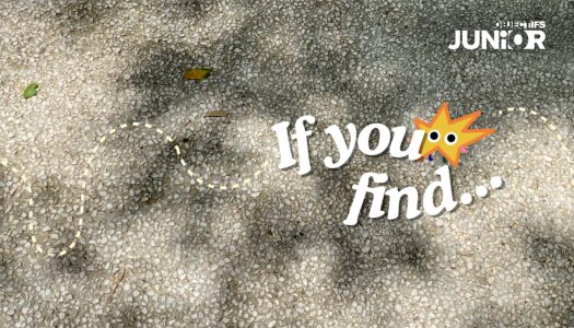 If You Find…