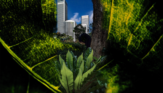 Singapore Urbanscape